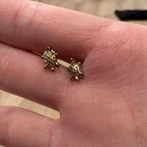 Turtle Earrings